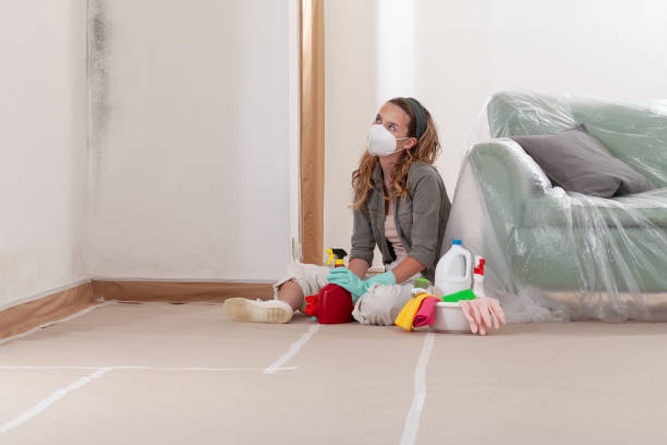 Reliable Bathroom Mold Removal contractor in Springfield, VA by WQB Mold Removal